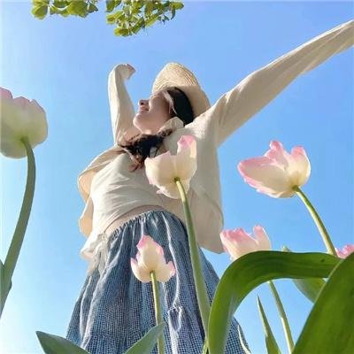 荣誉团队